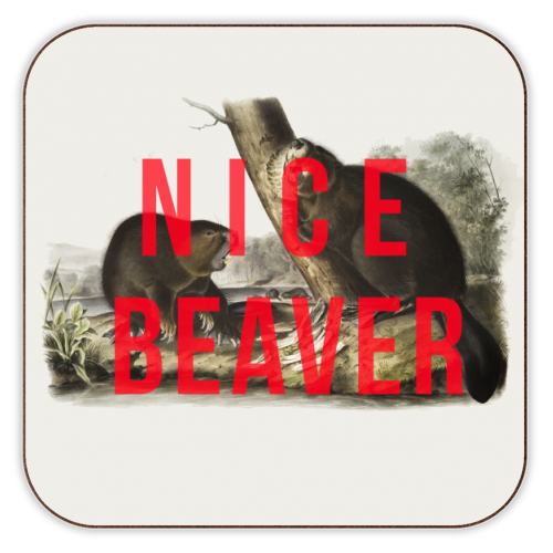 'Nice Beaver' Coaster by The 13 Prints