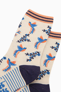Women's Bamboo Socks - Cream Hummingbird Floral